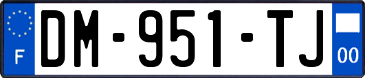 DM-951-TJ