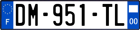 DM-951-TL