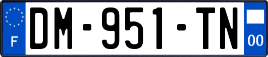 DM-951-TN