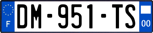 DM-951-TS