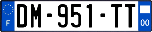 DM-951-TT