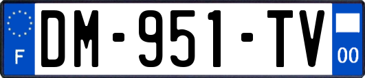 DM-951-TV