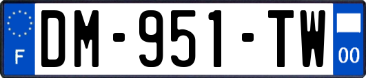DM-951-TW