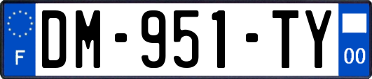 DM-951-TY