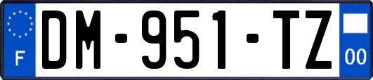 DM-951-TZ