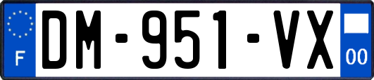 DM-951-VX