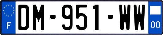 DM-951-WW