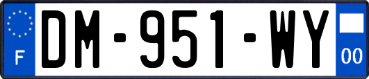 DM-951-WY