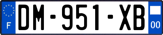 DM-951-XB