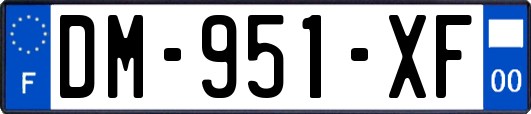 DM-951-XF