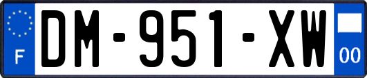 DM-951-XW