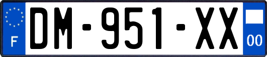 DM-951-XX