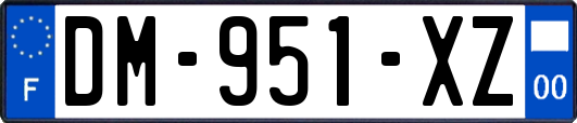 DM-951-XZ