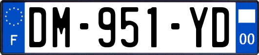 DM-951-YD