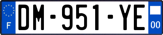 DM-951-YE