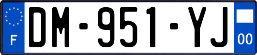 DM-951-YJ