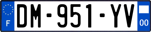 DM-951-YV