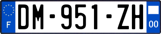 DM-951-ZH