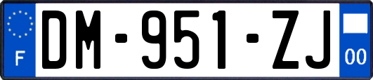 DM-951-ZJ