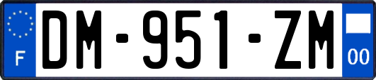 DM-951-ZM