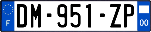 DM-951-ZP