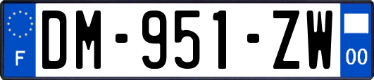 DM-951-ZW