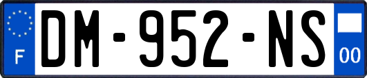 DM-952-NS