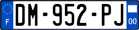 DM-952-PJ