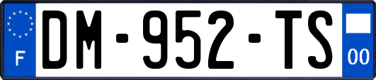 DM-952-TS