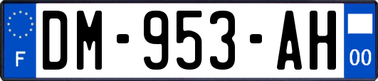 DM-953-AH