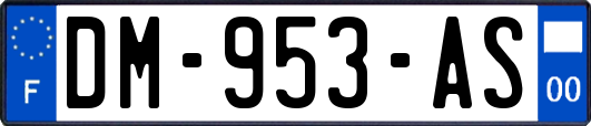 DM-953-AS