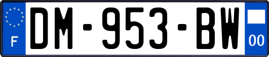 DM-953-BW