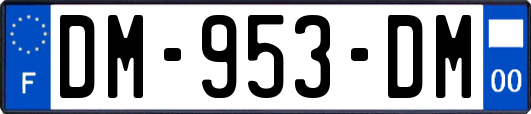 DM-953-DM