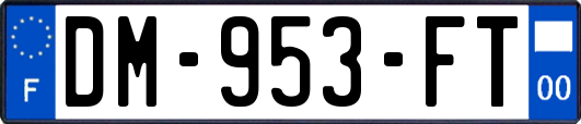 DM-953-FT