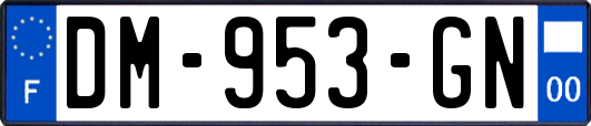 DM-953-GN