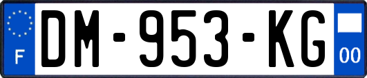 DM-953-KG