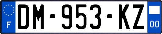 DM-953-KZ