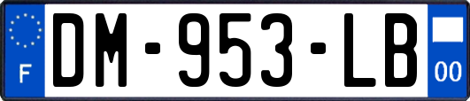 DM-953-LB