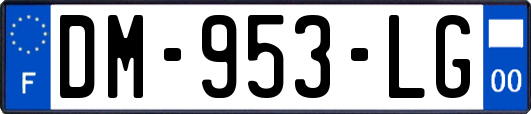 DM-953-LG