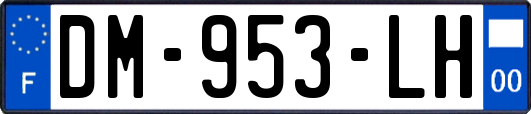 DM-953-LH