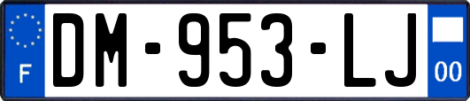DM-953-LJ