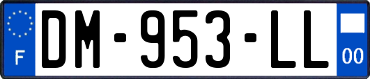 DM-953-LL