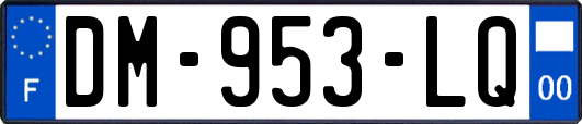 DM-953-LQ