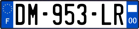 DM-953-LR