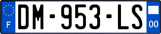 DM-953-LS
