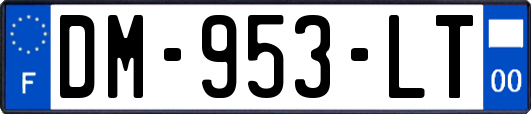 DM-953-LT
