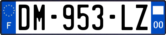 DM-953-LZ