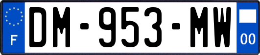 DM-953-MW