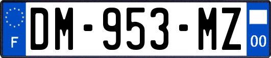 DM-953-MZ