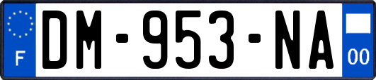 DM-953-NA